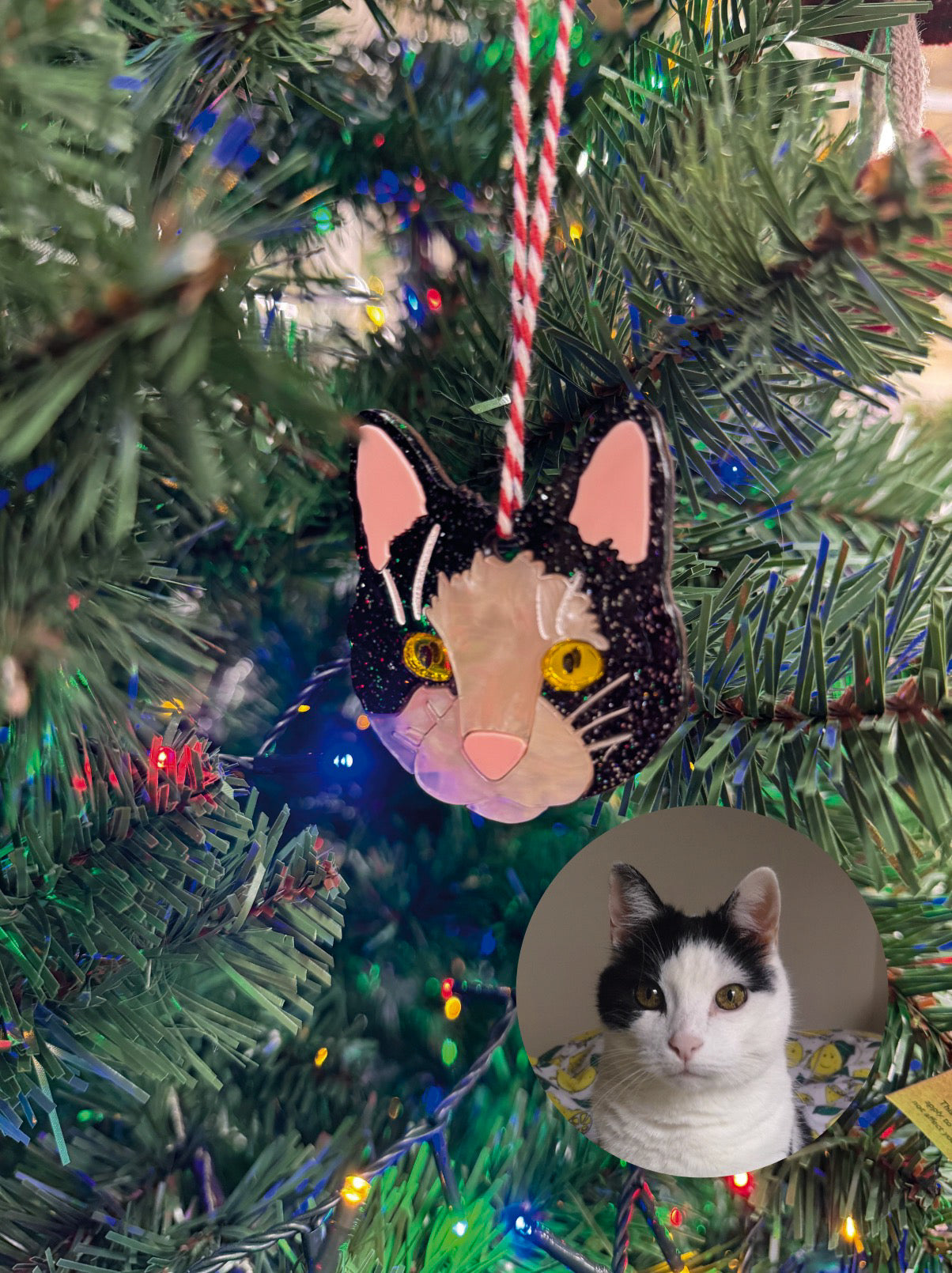 Custom Pet Christmas Tree Ornament