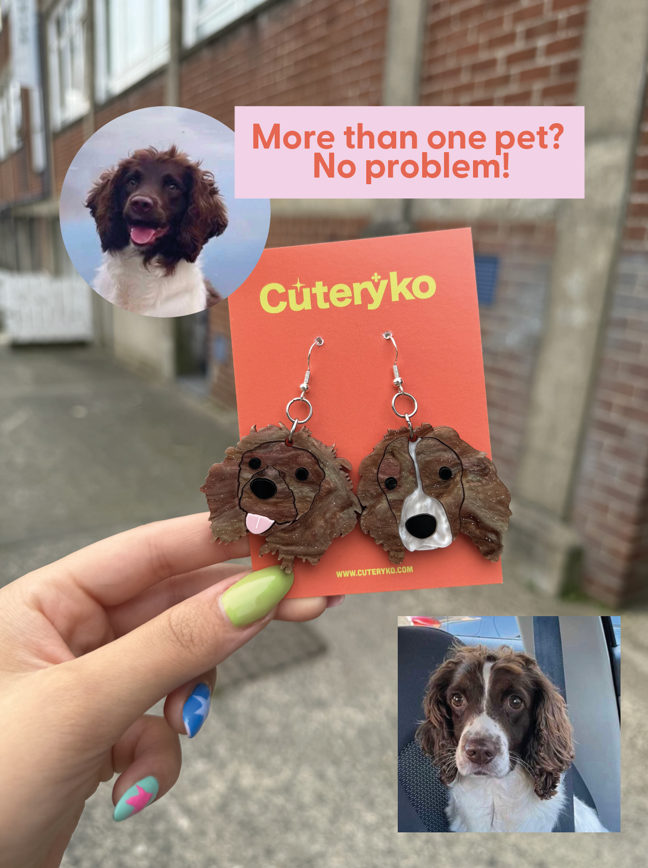 Custom Pet Accessories