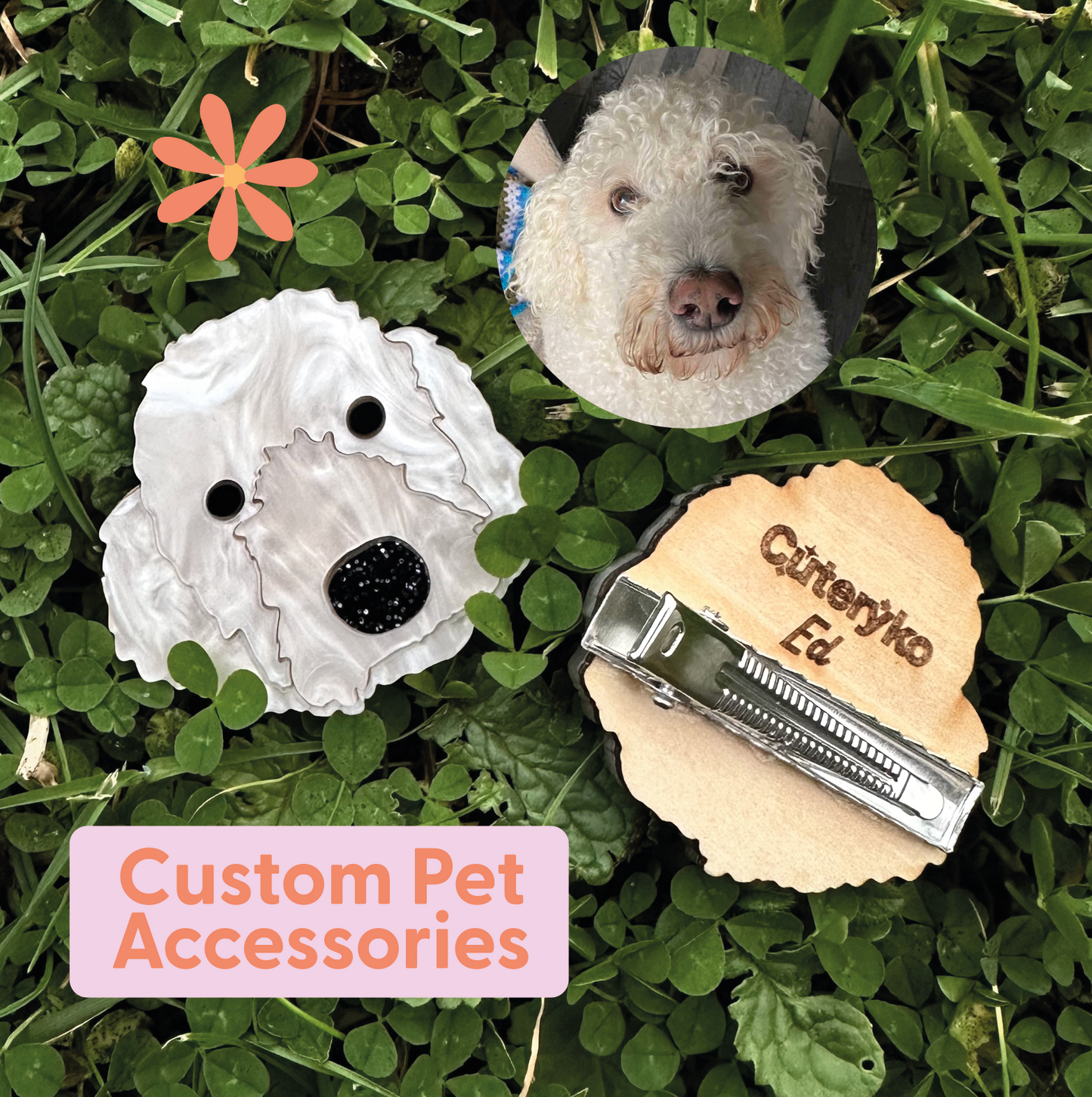 Custom Pet Accessories